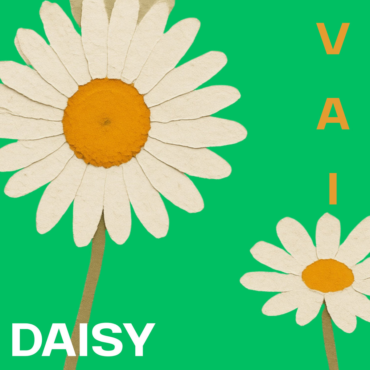 Daisy